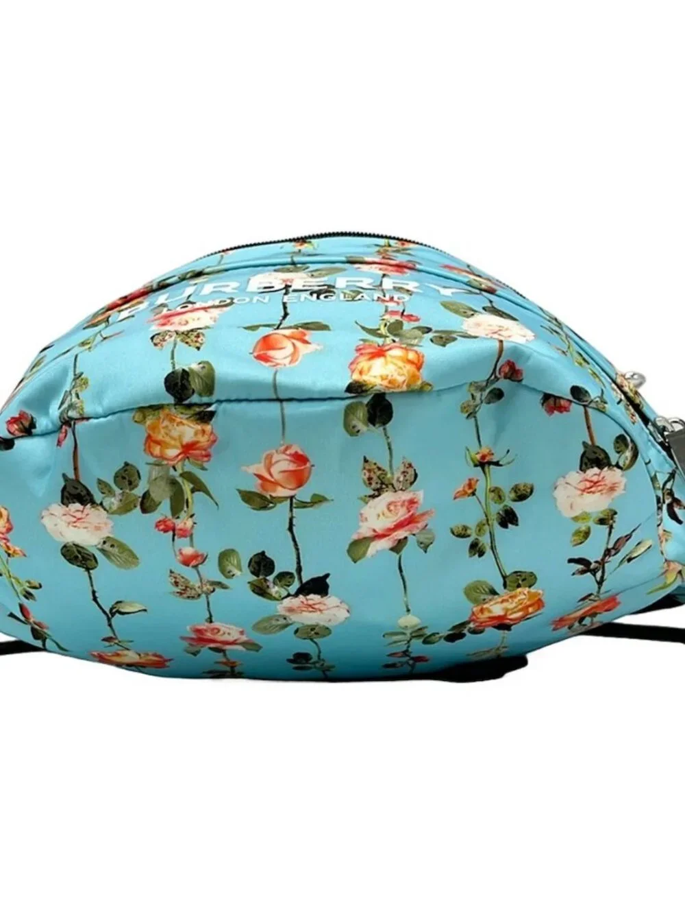 BURBERRY LONDON ENGLAND Light Blue Dark Green Multi Nylon Backpack